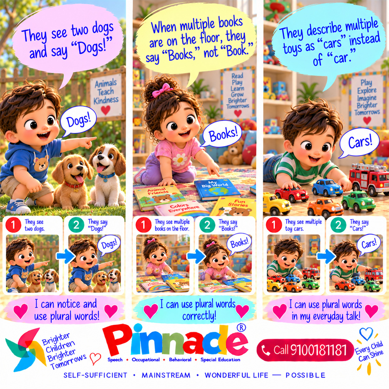 Example illustration for assessment topic: Plural