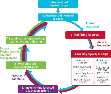 Types of adaptation and process