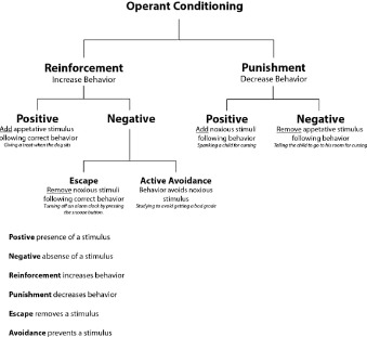 Collab Topic - Behavioural Therapy