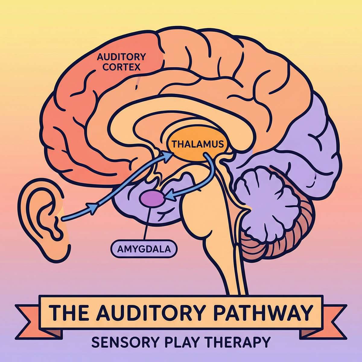 9-materials-that-help-when-child-covers-ears therapy material