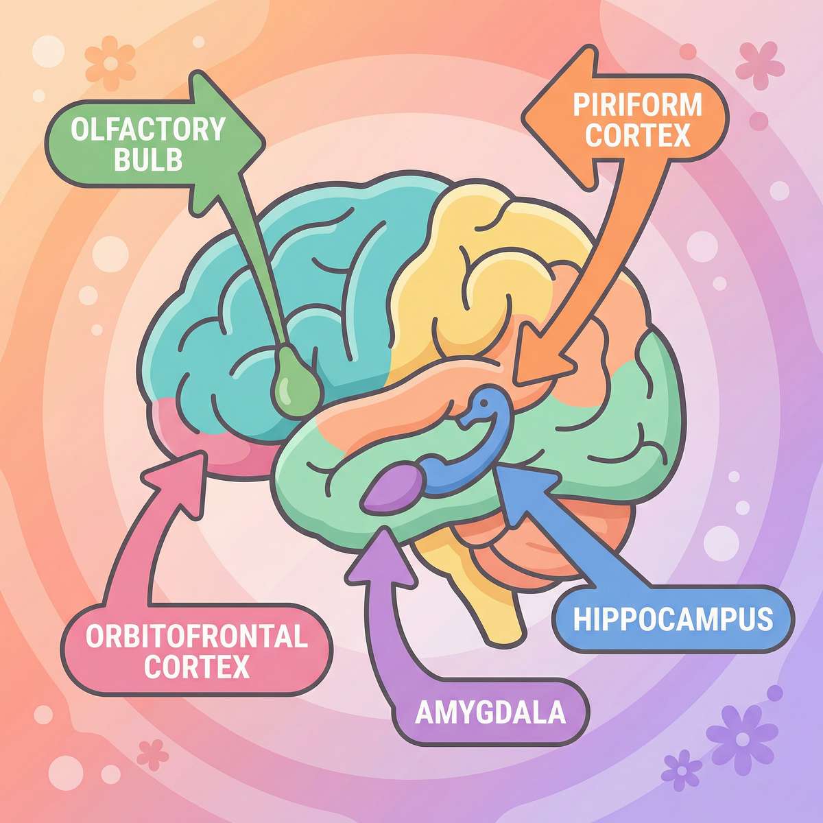 9-materials-that-help-when-child-sniffs-everything therapy material