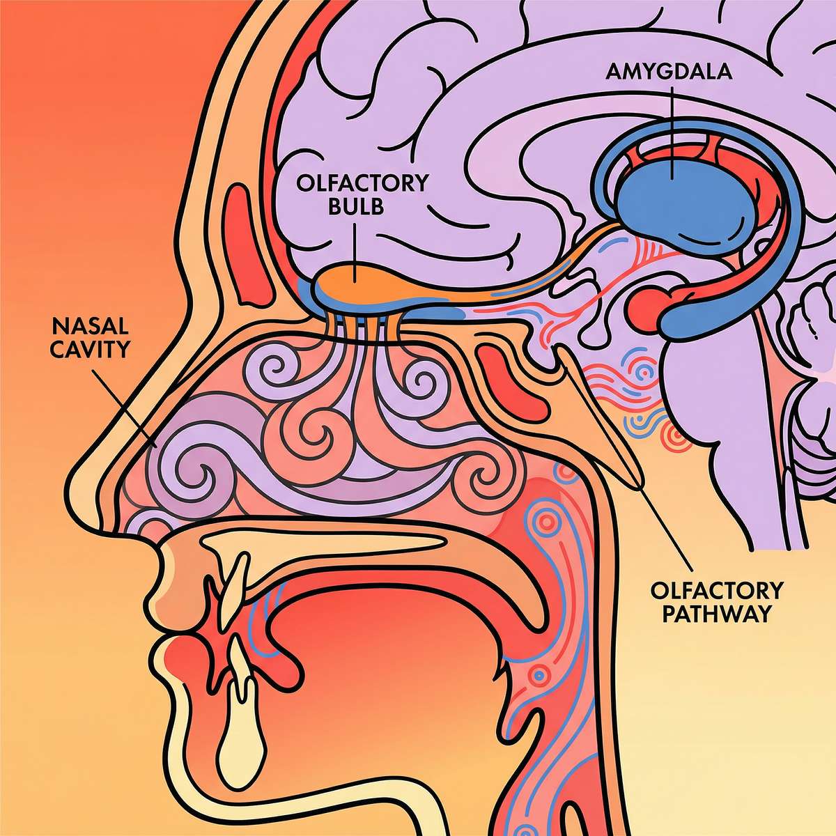 9-materials-that-help-with-perfume-sensitivity therapy material
