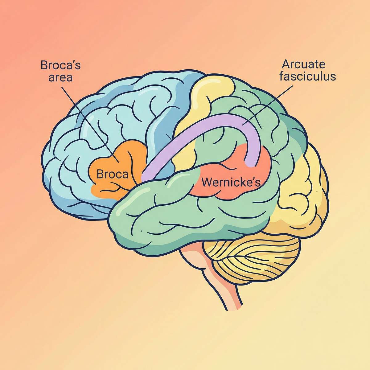 communication therapy material