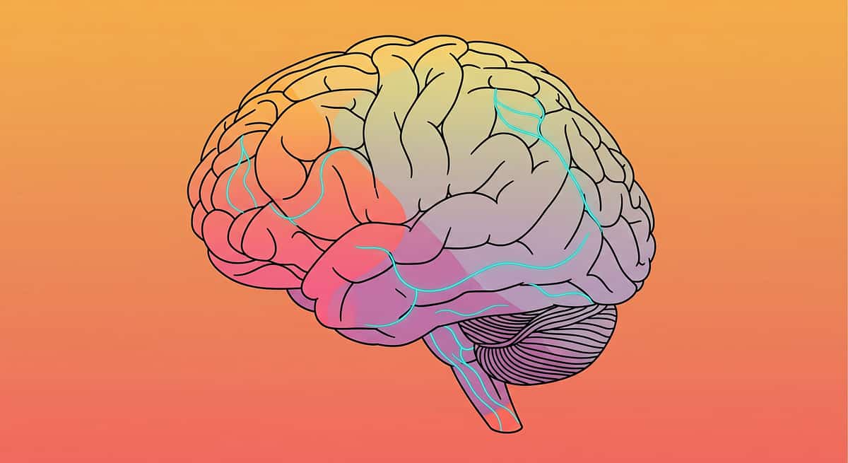 9-materials-that-help-in-crowded-noisy-places therapy material