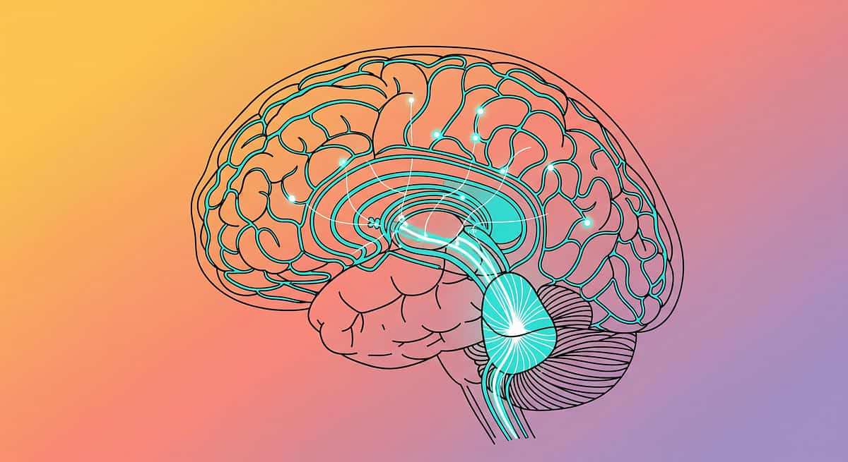 9-materials-that-help-with-adjective-understanding therapy material