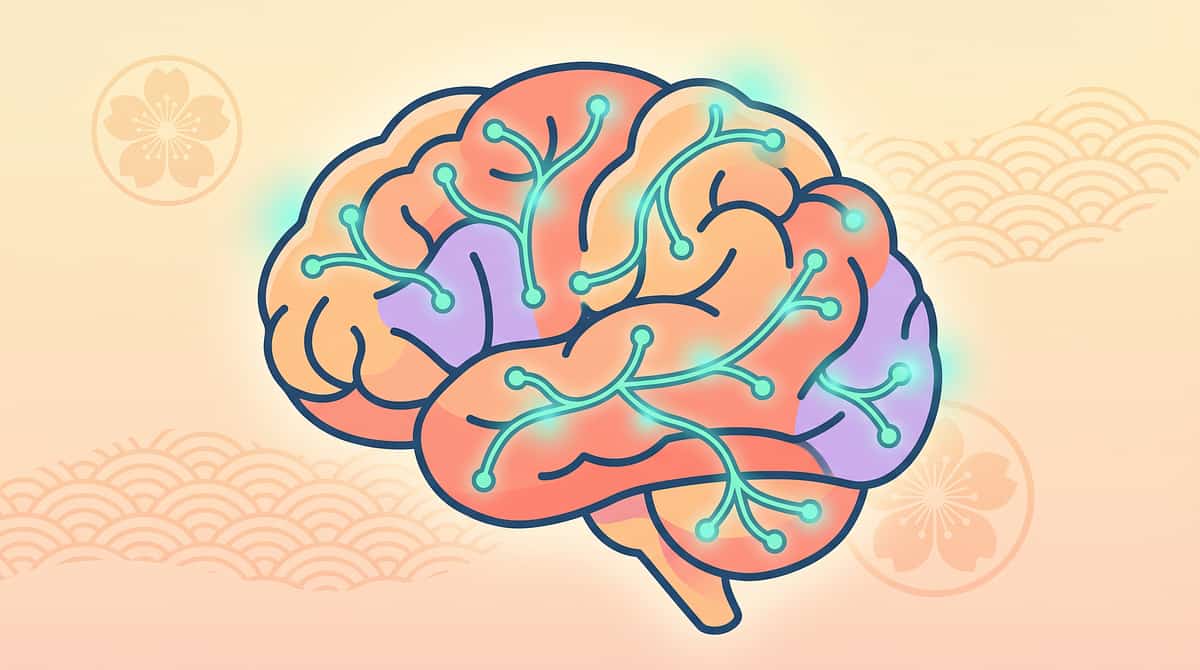9-materials-that-help-with-caregiver-burnout therapy material