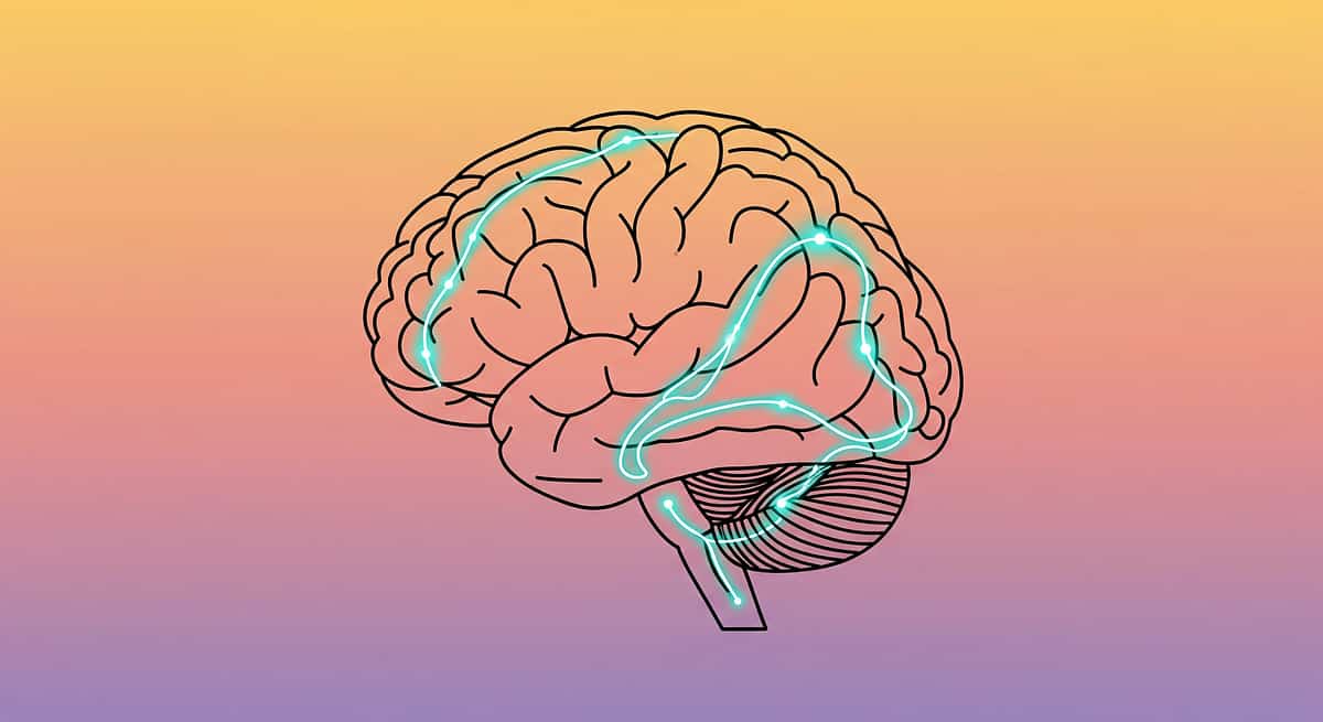 9-materials-that-help-with-hand-washing therapy material