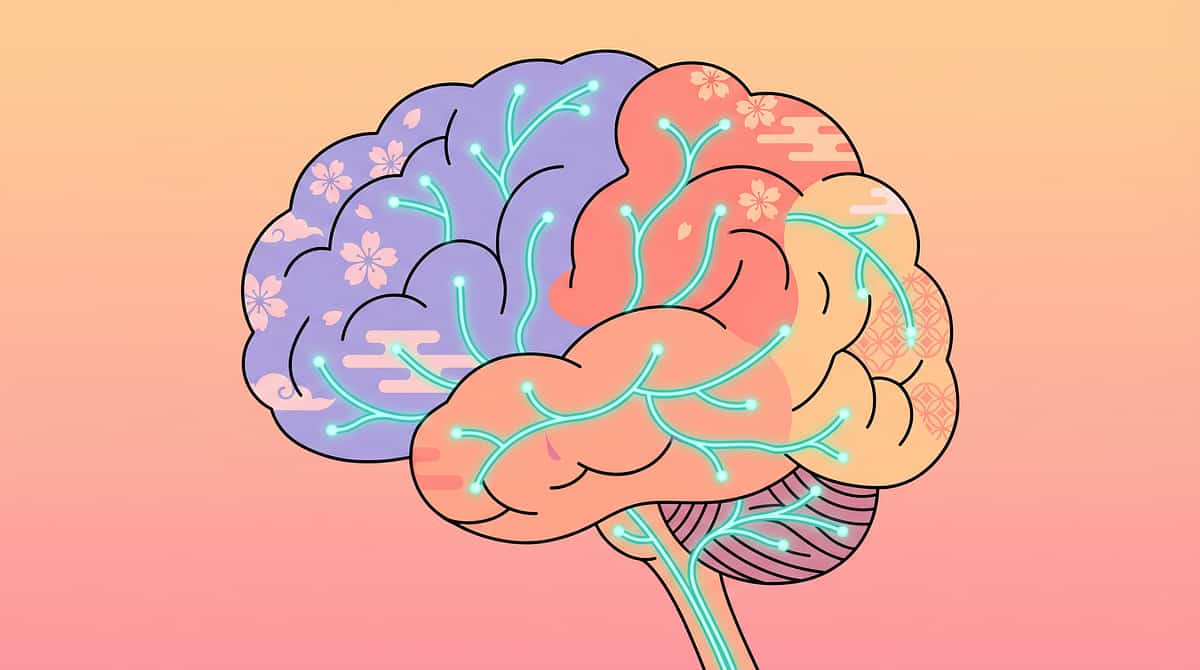 9-materials-that-help-with-math-readiness therapy material