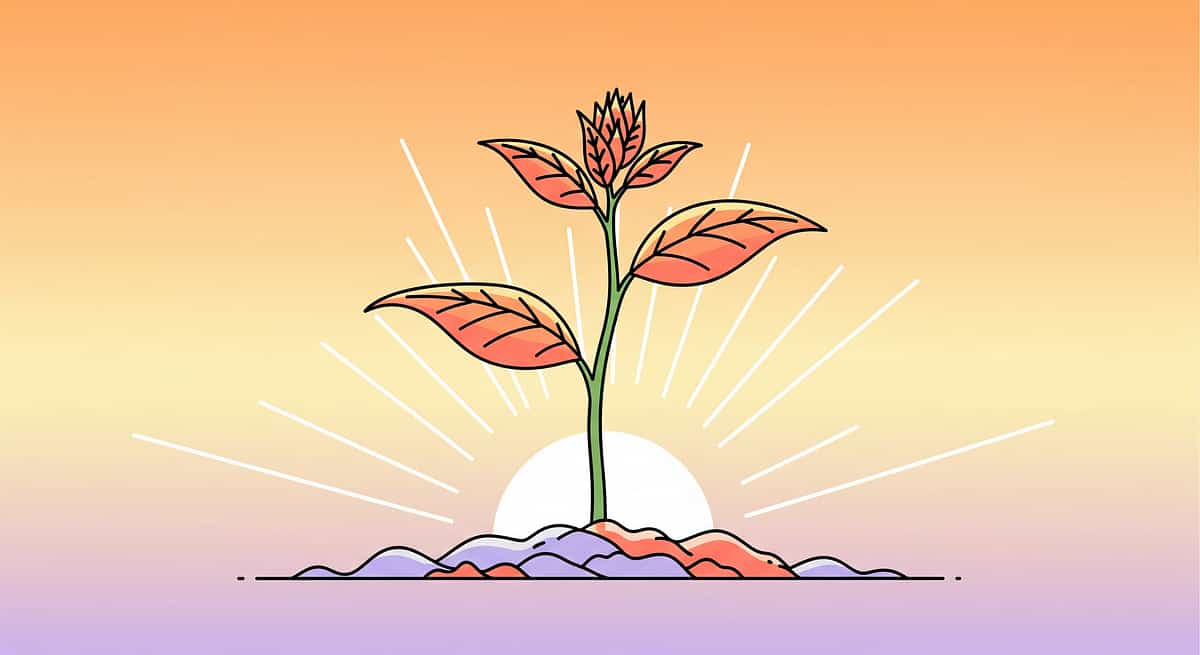 9-materials-that-help-with-nail-cutting therapy material