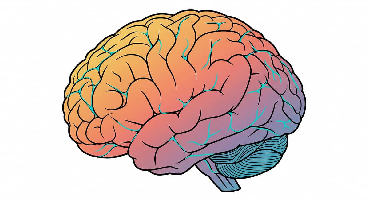 9-materials-that-help-with-nail-cutting therapy material