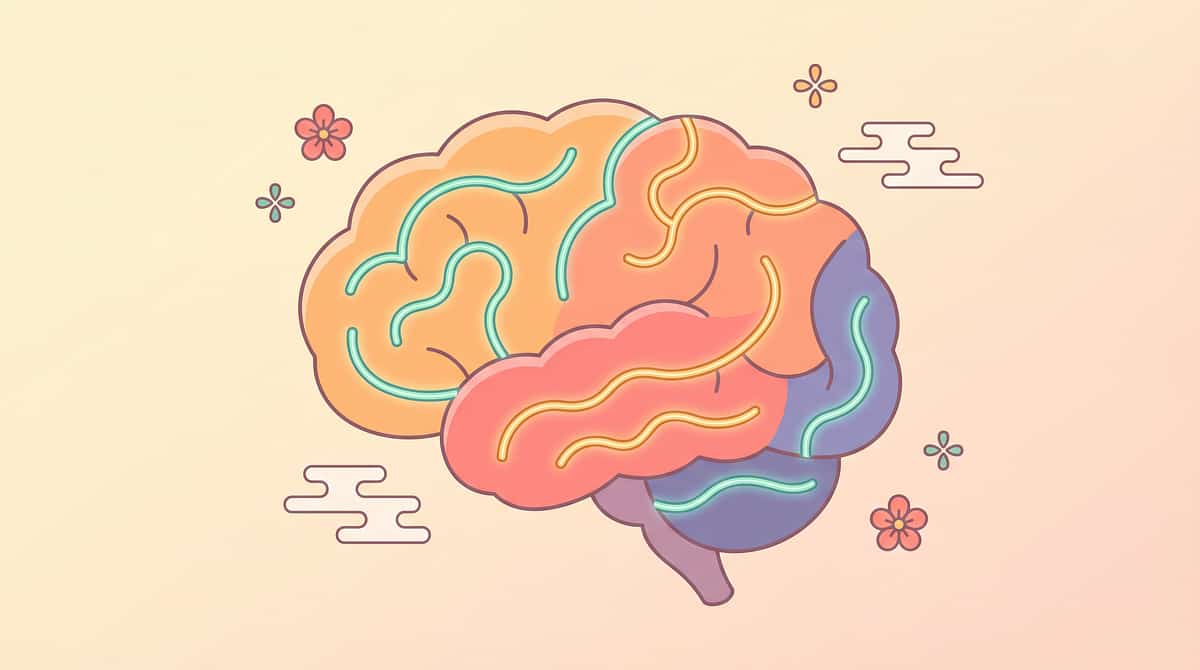 9-materials-that-help-with-personal-boundaries therapy material