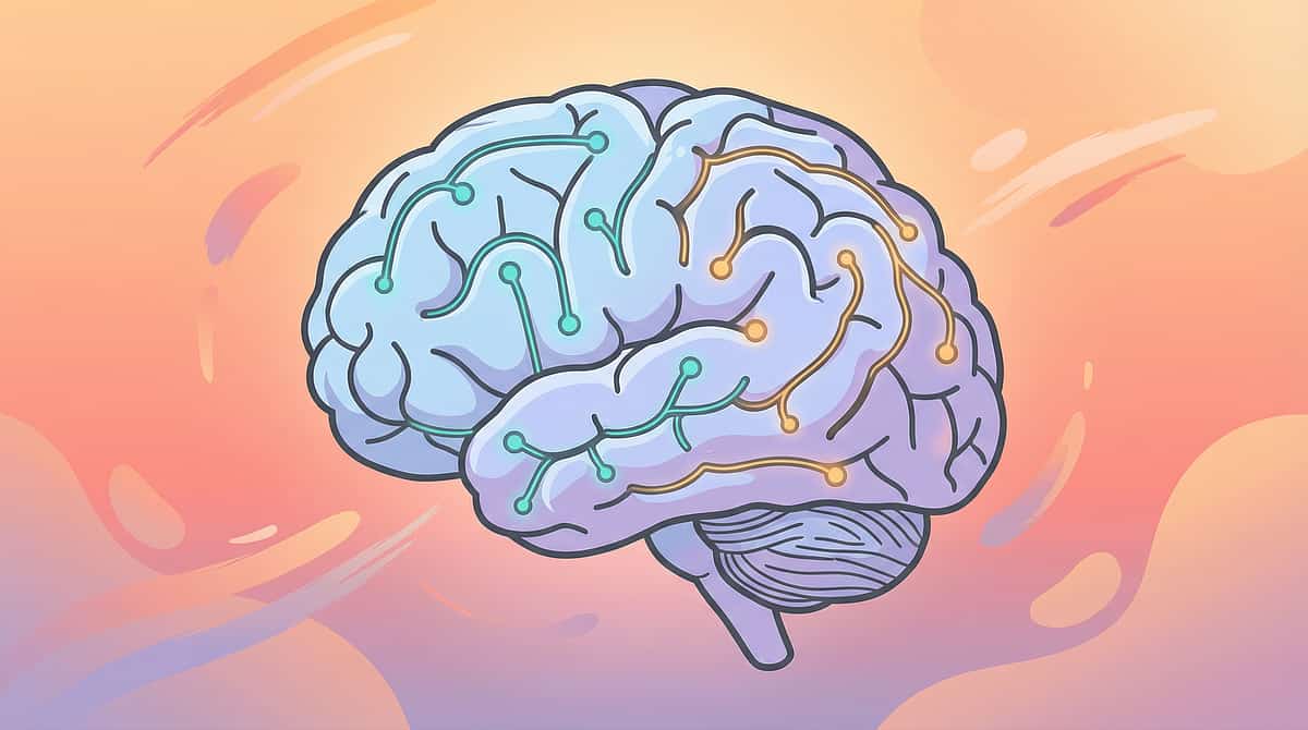 9-materials-that-help-with-physical-anxiety-symptoms therapy material