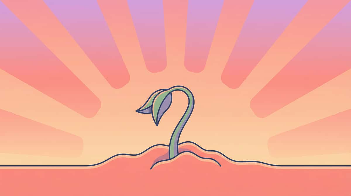 9-materials-that-help-with-pocketing-food therapy material