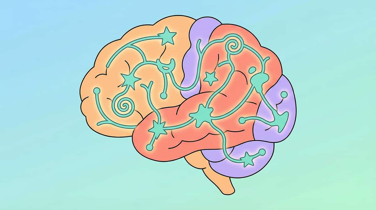 9-materials-that-help-with-sameness-insistence therapy material