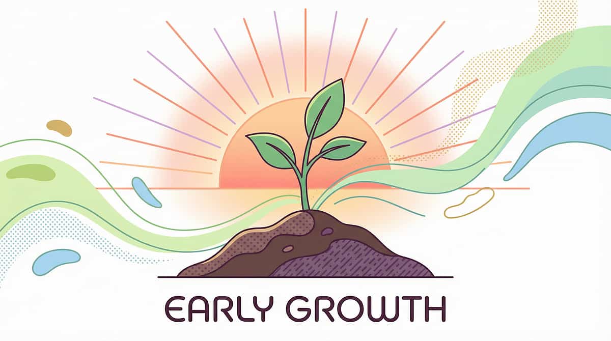 9-materials-that-help-with-scratching-others therapy material