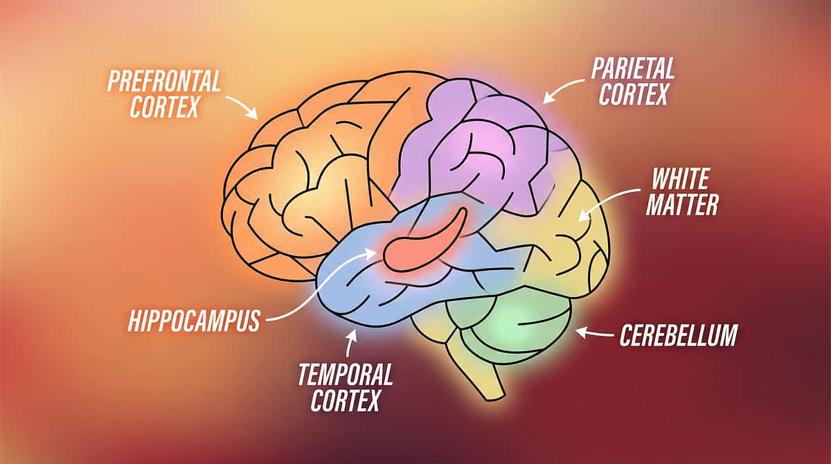 cognitive-learning therapy material
