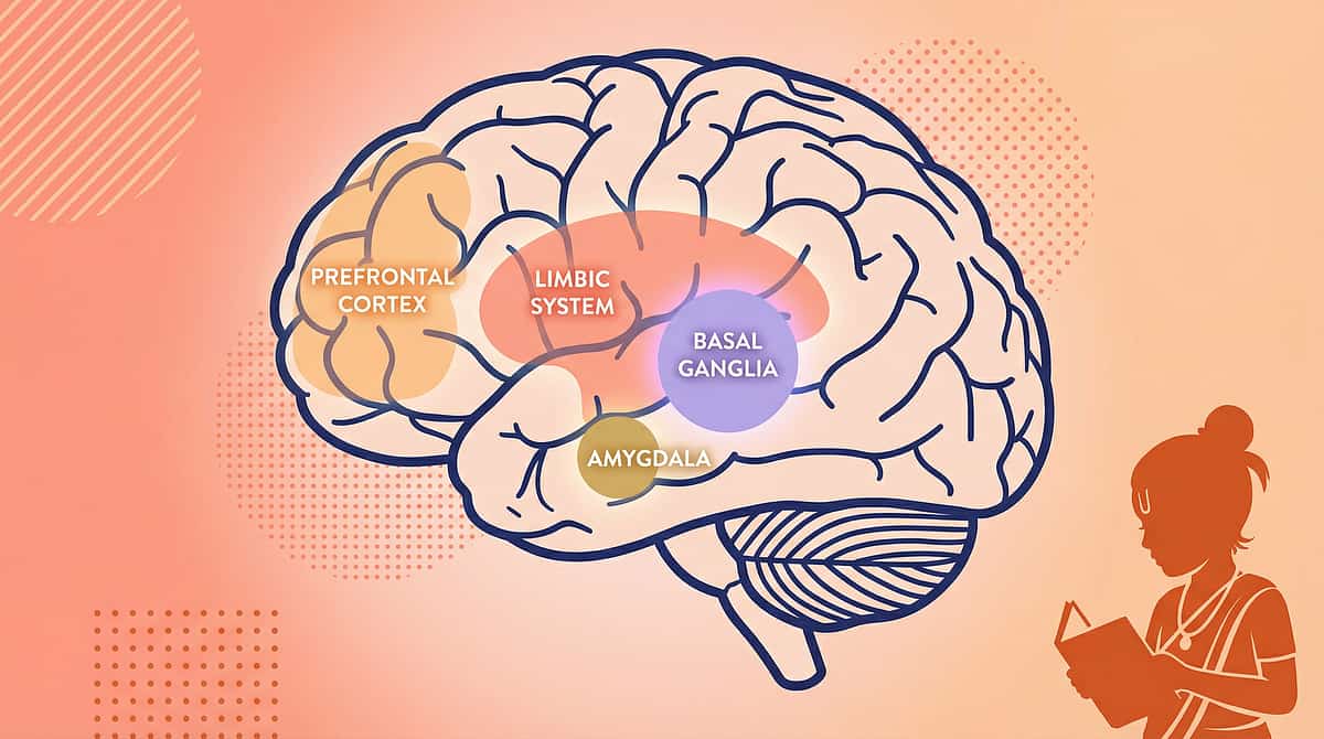 major-life-events therapy material