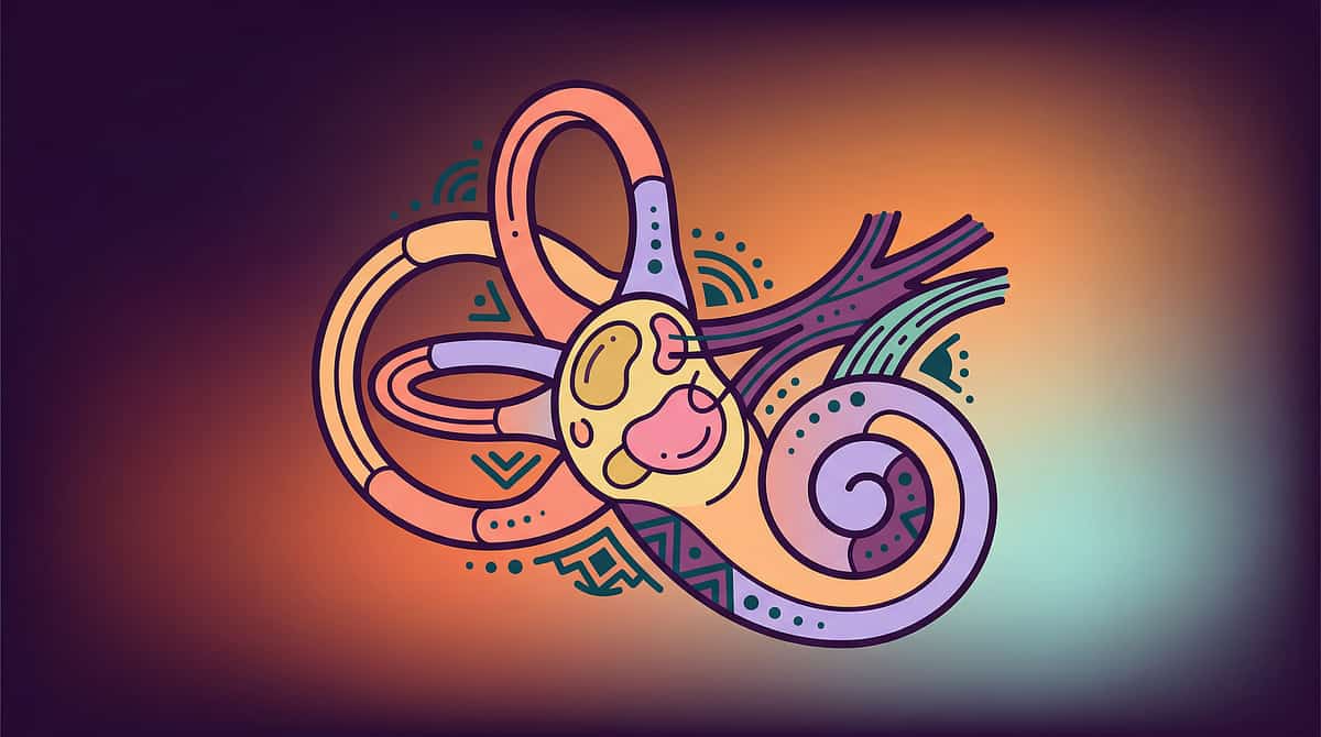 vestibular-challenges therapy material